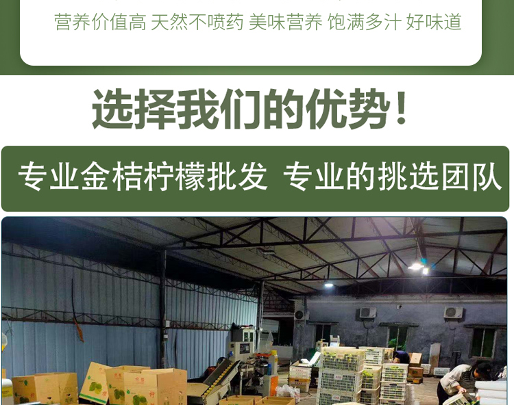 O1CN016hSwzS22gI9bEZpPm_!!731737149.jpg
